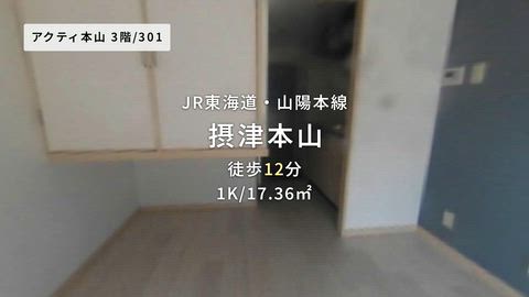 動画