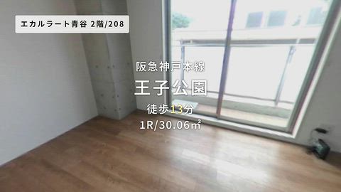 動画
