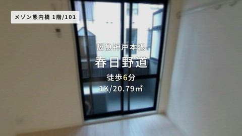 動画