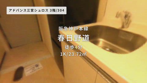 動画