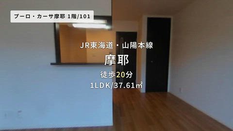 動画