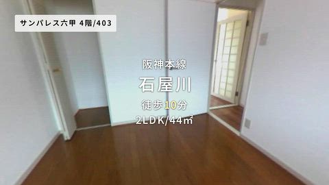 動画