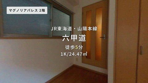 動画