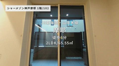 動画