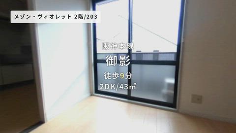 動画