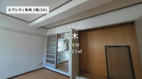 動画