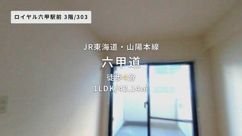 動画