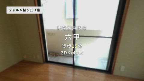 動画