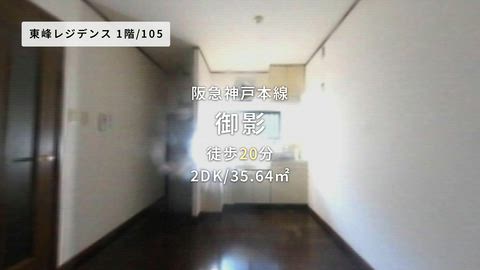 動画