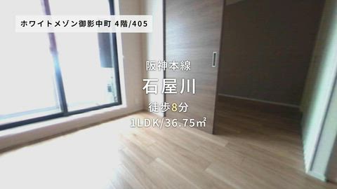 動画