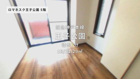 動画