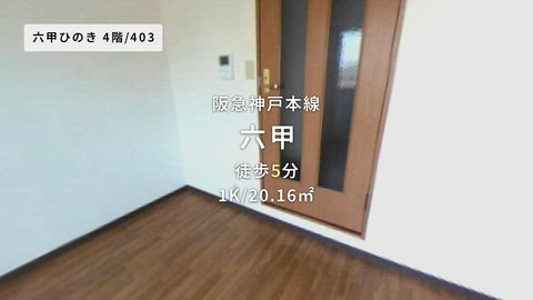 動画