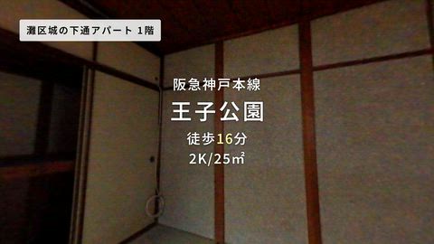 動画