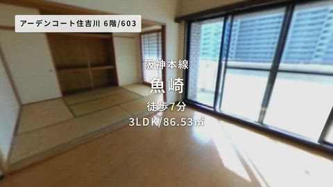 動画