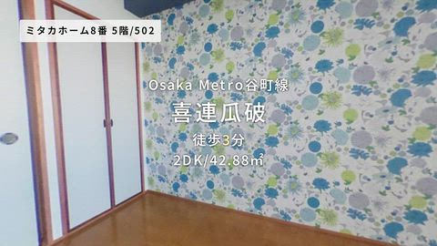 動画