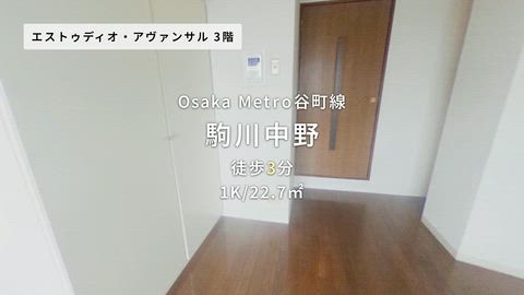 動画
