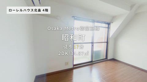 動画