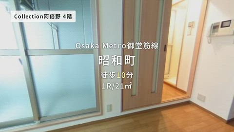 動画