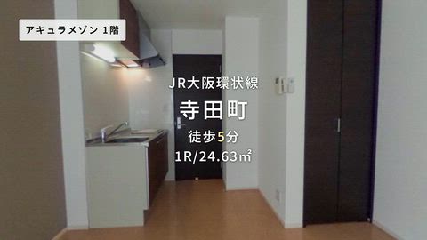 動画