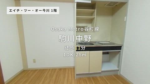 動画