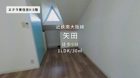 紹介ムービー