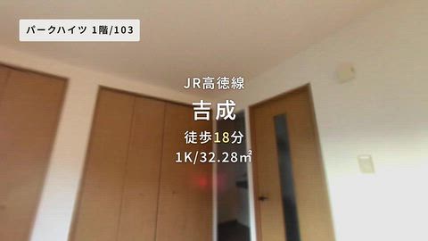 動画