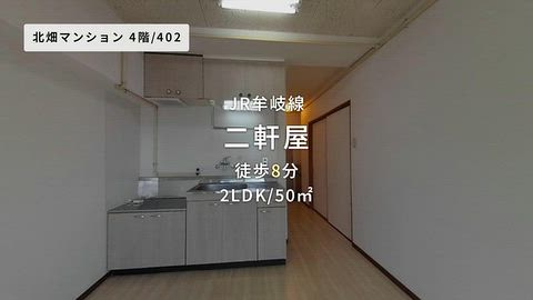 動画