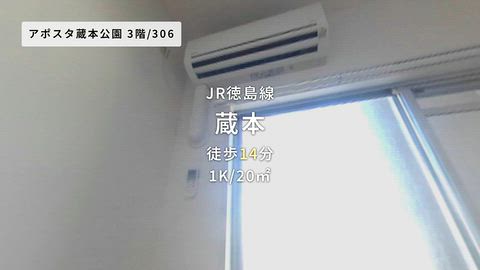 動画