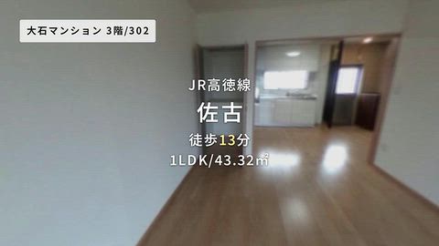 動画