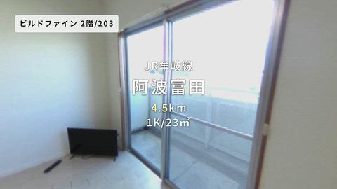 動画