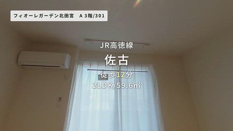 動画