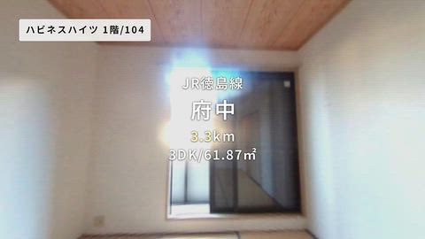 動画