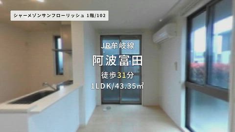 動画
