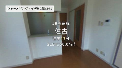 動画