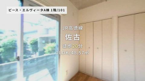 動画