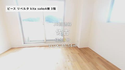 動画