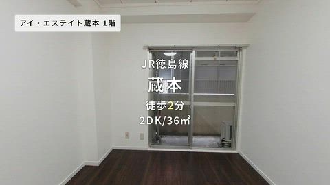 動画