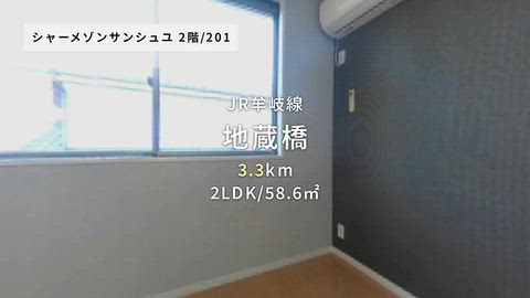 動画