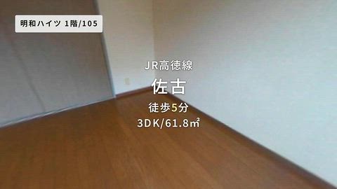 動画