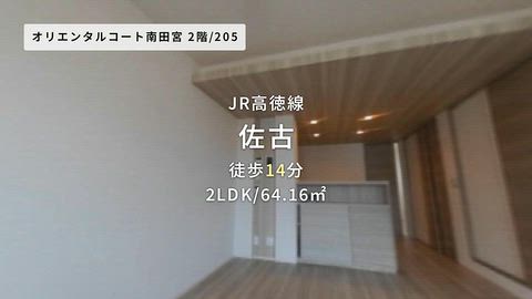 動画