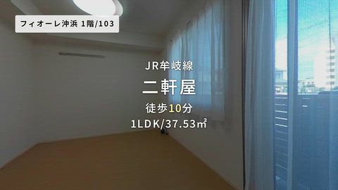 動画