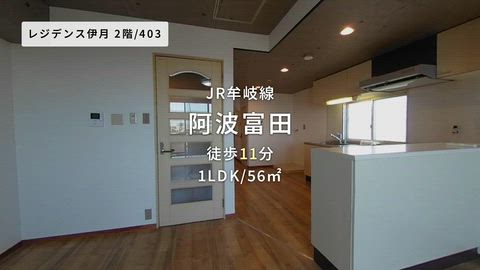 動画