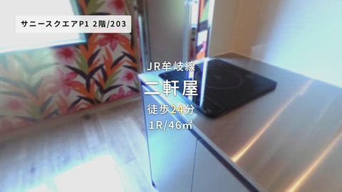 動画