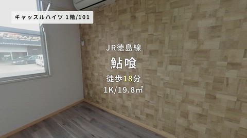 動画