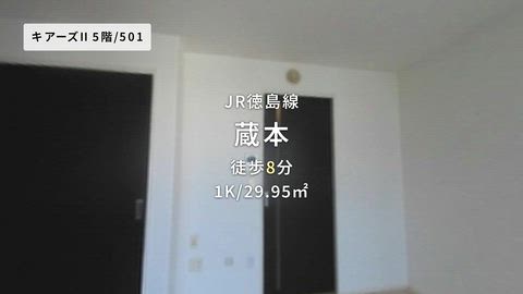 動画