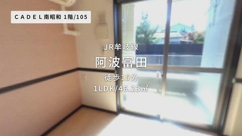 動画
