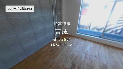 動画