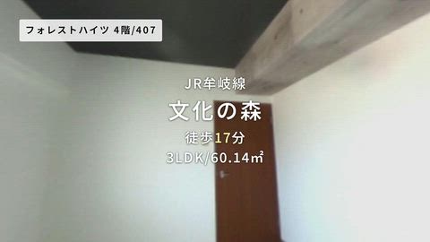 紹介ムービー