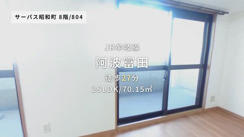 動画