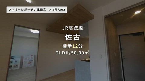 動画